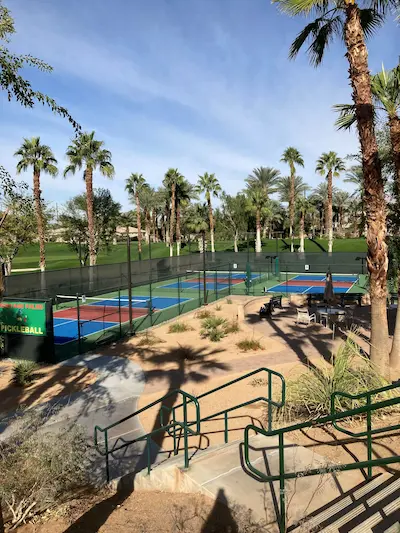 tennis courts in the background and a palm tree in the foreground.